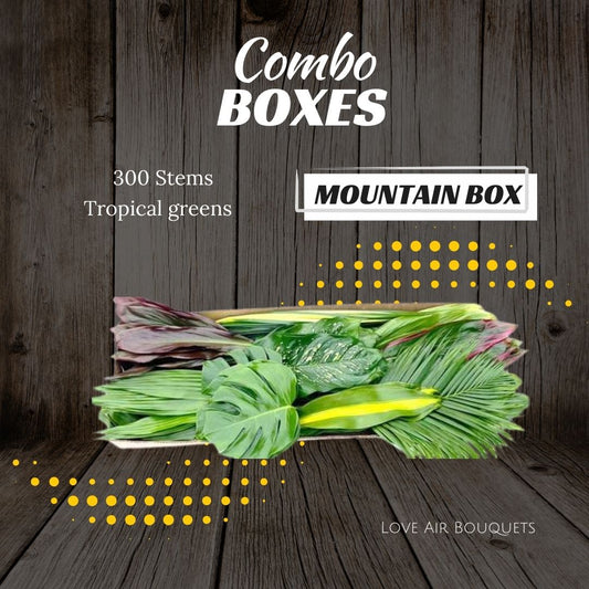 Mountain Box - Combo Boxes