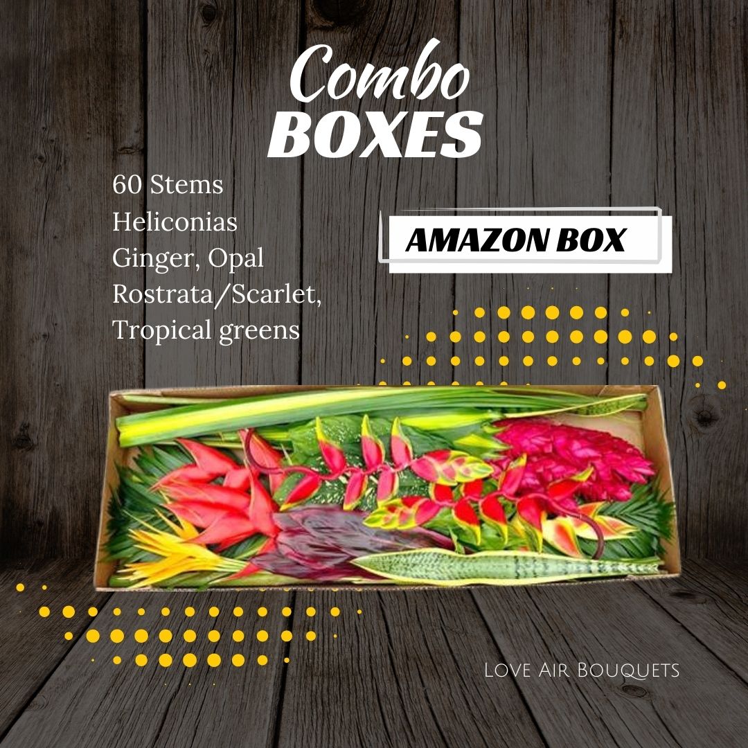 Amazon Box-60 Stems-40inch-Quarter Box